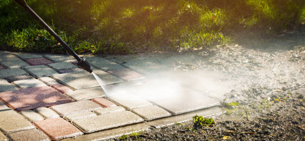 Best Driveway Pressure Washing  in Country Walk, FL